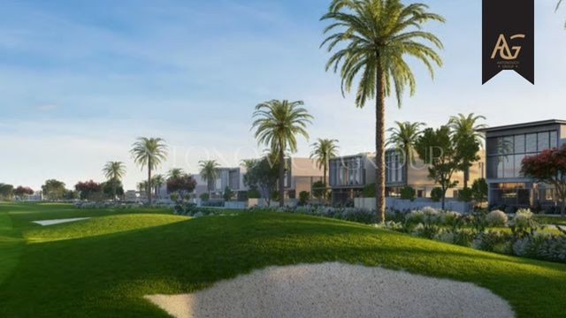 Succulents and cacti thriving in a Dubai low-maintenance garden