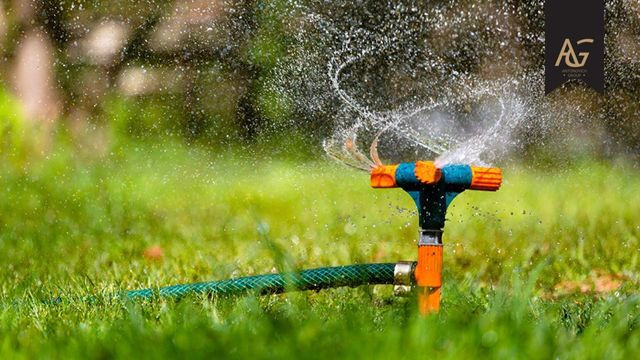 Beautifully landscaped garden in Dubai with proper irrigation