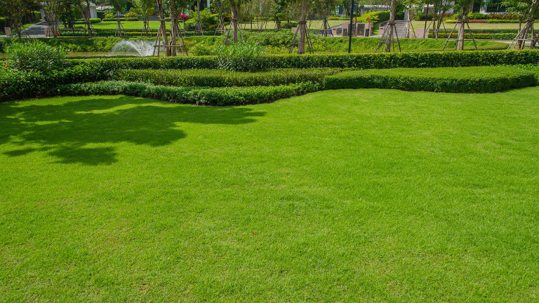 Stunning Dubai garden landscape with lush greenery