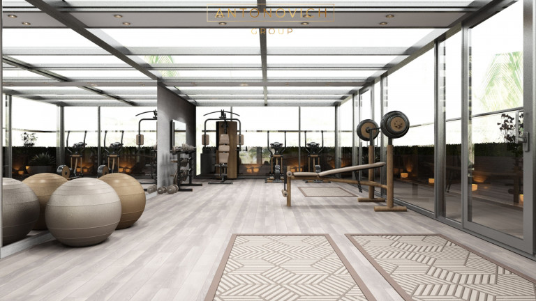 Exploring Antonovich Group's Modern Spacious Roof Deck Gym