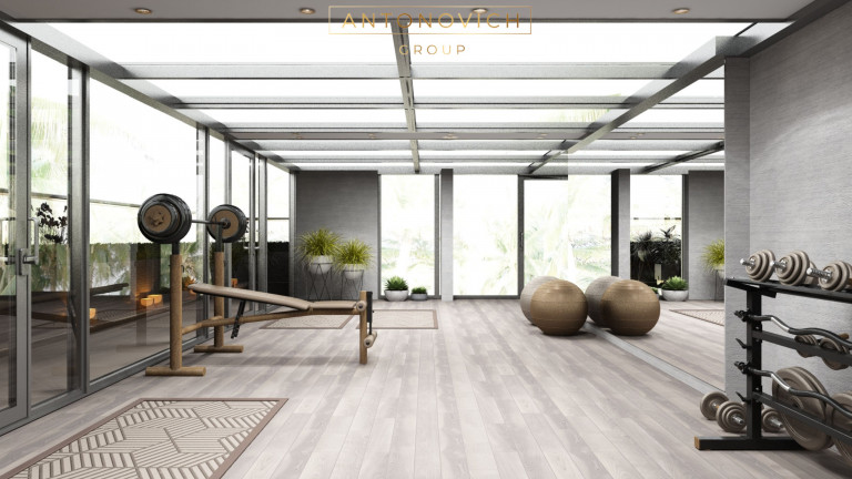 Exploring Antonovich Group's Modern Spacious Roof Deck Gym