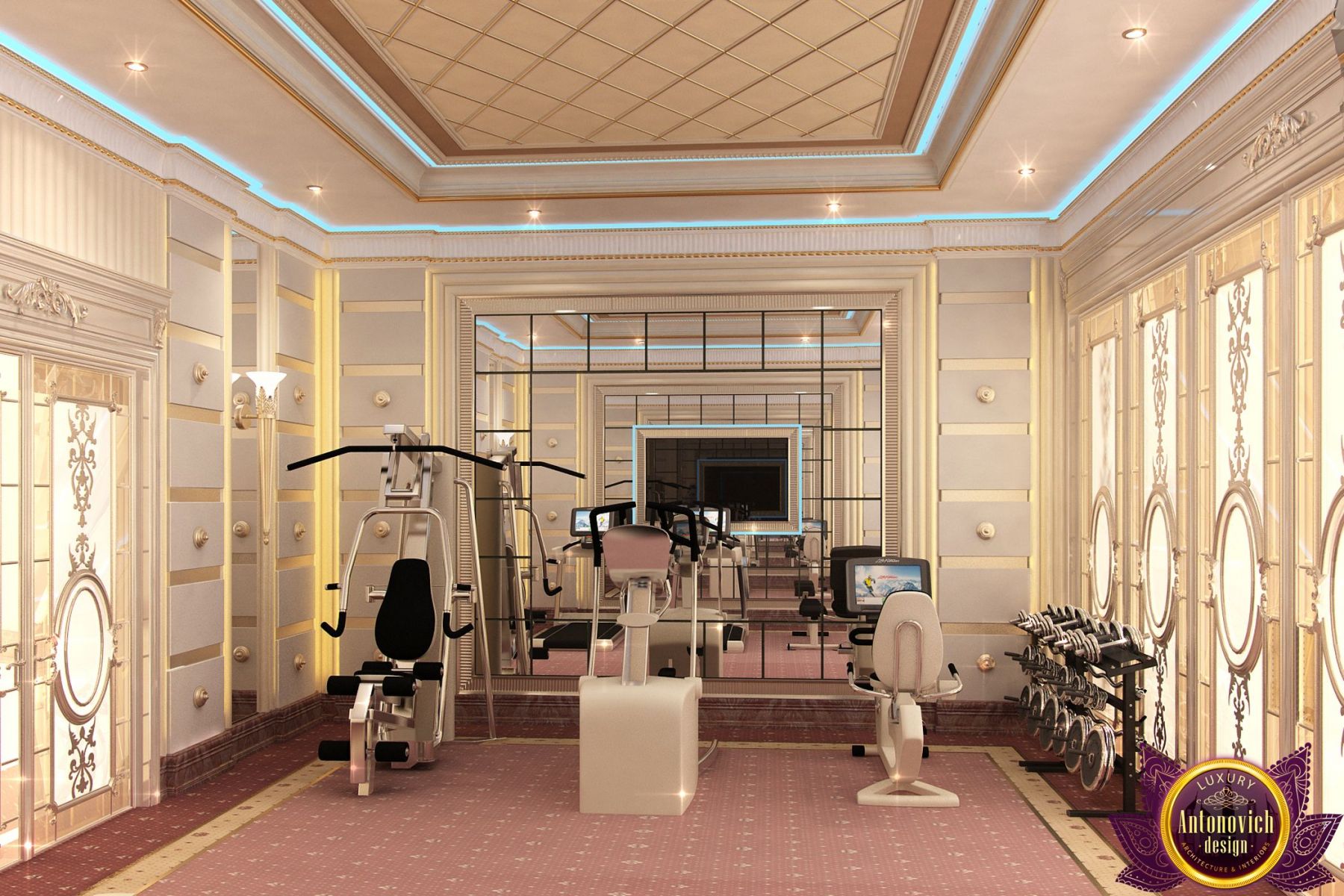 luxury gim designe