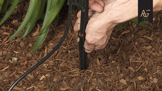 Efficient drip irrigation system in a Dubai garden