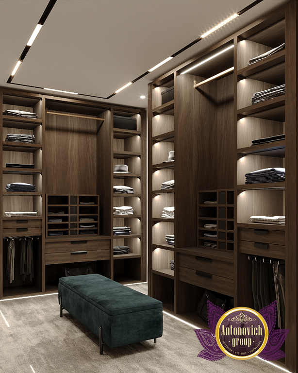 Modern home dressing room with luxurious details