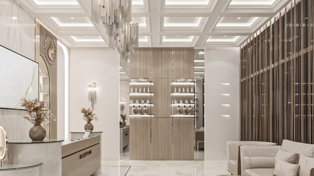 Modern Aesthetic Clinic Interior Design: Antonovich Group's Cutting-Edge Execution