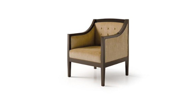 Small Luxury Armchair