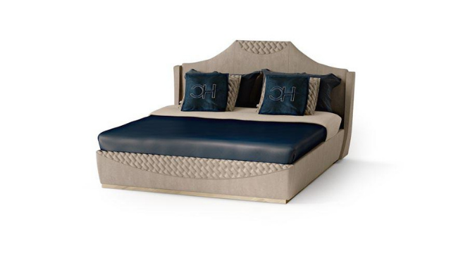 Finest Bed Design with Dark Blue Accent