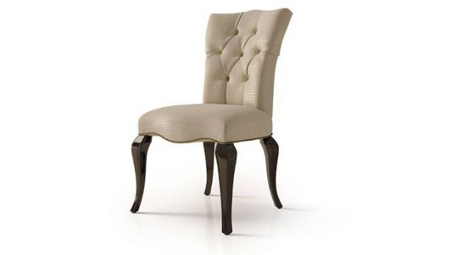 Elegant Chair with handle