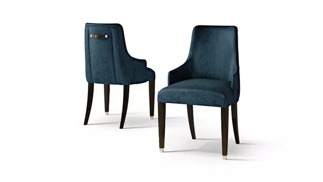 Luxury Stylish Chair with handle