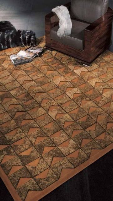 Classy Design Carpet