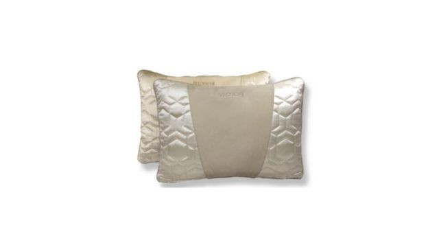 Elegant Design Pillow