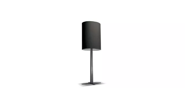 Elegant Dark Design Table Lamp