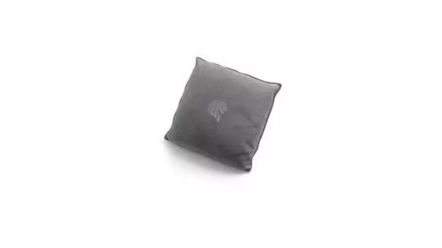 Signature Leather Cushion