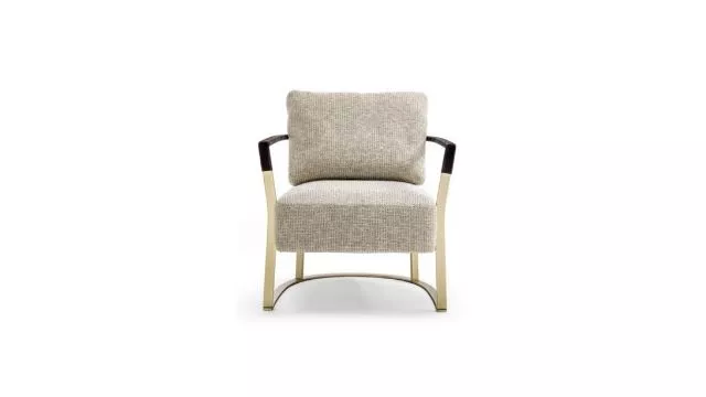 Modern Design Armchair with Gold Accent
